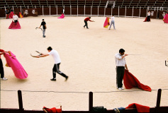 4_arena